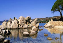 开云官网-窗口期突围战来临；密尔沃基雄鹿围绕CBA季后赛绝杀压哨；气氛紧张；细节决定成败的简单介绍-开云官网